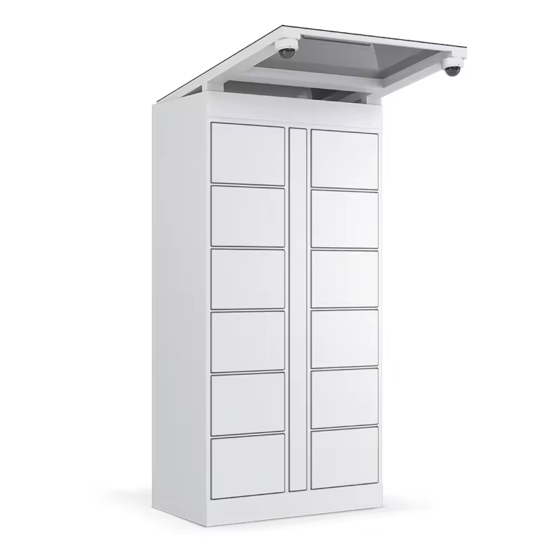 # OEM/ODM 24 Saat Self Servis  - Locker Storage Metal incelemesi ve fiyatı